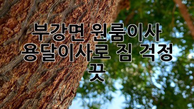 부강면 원룸이사, 용달이사로 짐 걱정 끗! 🚚💨